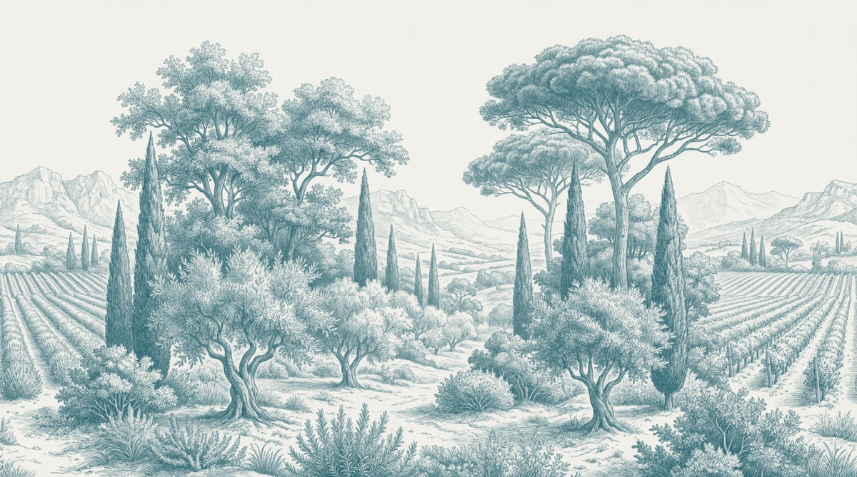 Papier peint panoramique arbres méditerranéens - Pins parasol cyprès oliviers paysage méditerranéen gravure détaillée bleu canard sur mesure - Design