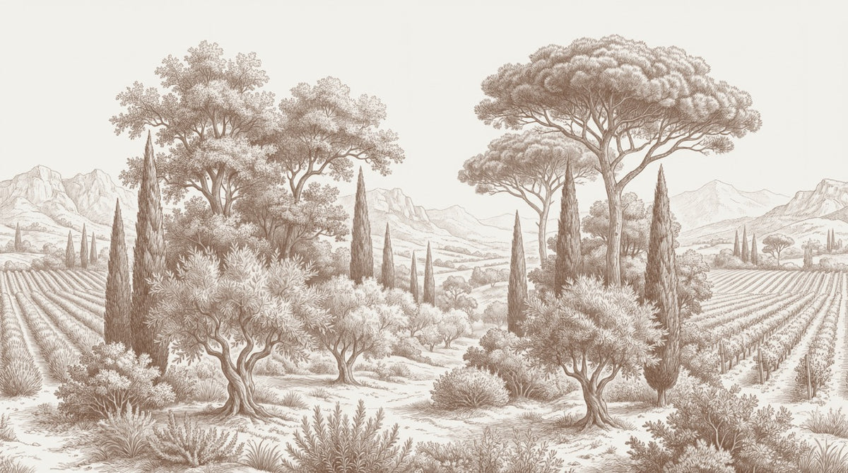 Papier peint panoramique arbres méditerranéens - Pins parasol cyprès oliviers paysage méditerranéen gravure détaillée marron sur mesure - Design