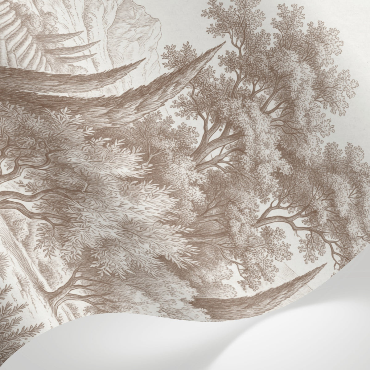 Papier peint panoramique arbres méditerranéens - Pins parasol cyprès oliviers paysage méditerranéen gravure détaillée marron sur mesure - Matière