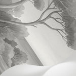 Papier peint panoramique botanique - Arbres méditerranéens fleurs sauvages chemin sableux noir et blanc sur mesure - Matière