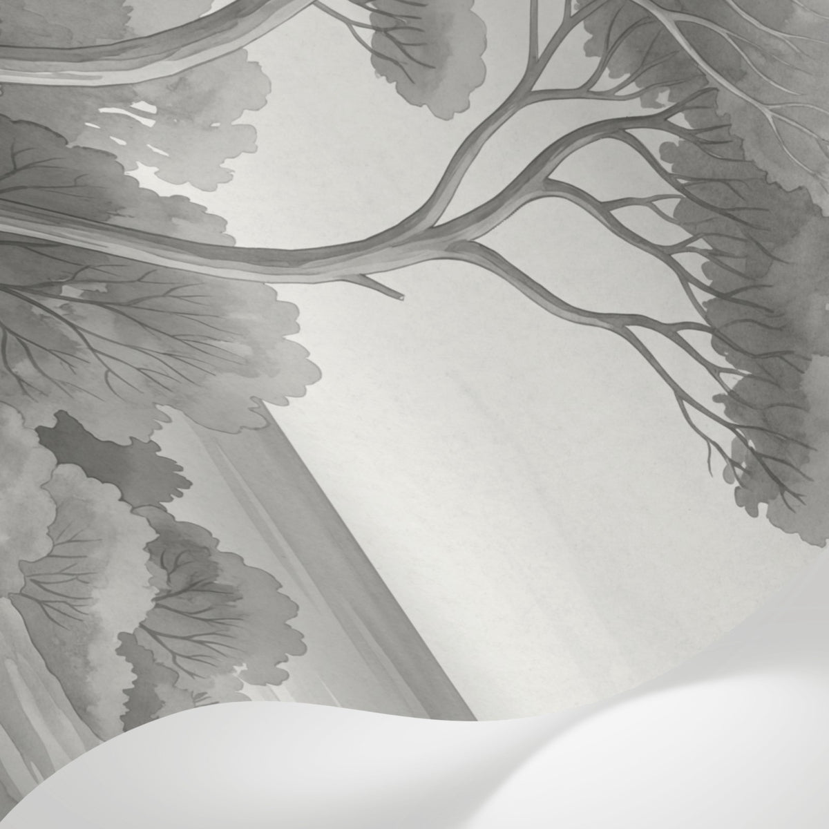 Papier peint panoramique botanique - Arbres méditerranéens fleurs sauvages chemin sableux noir et blanc sur mesure - Matière
