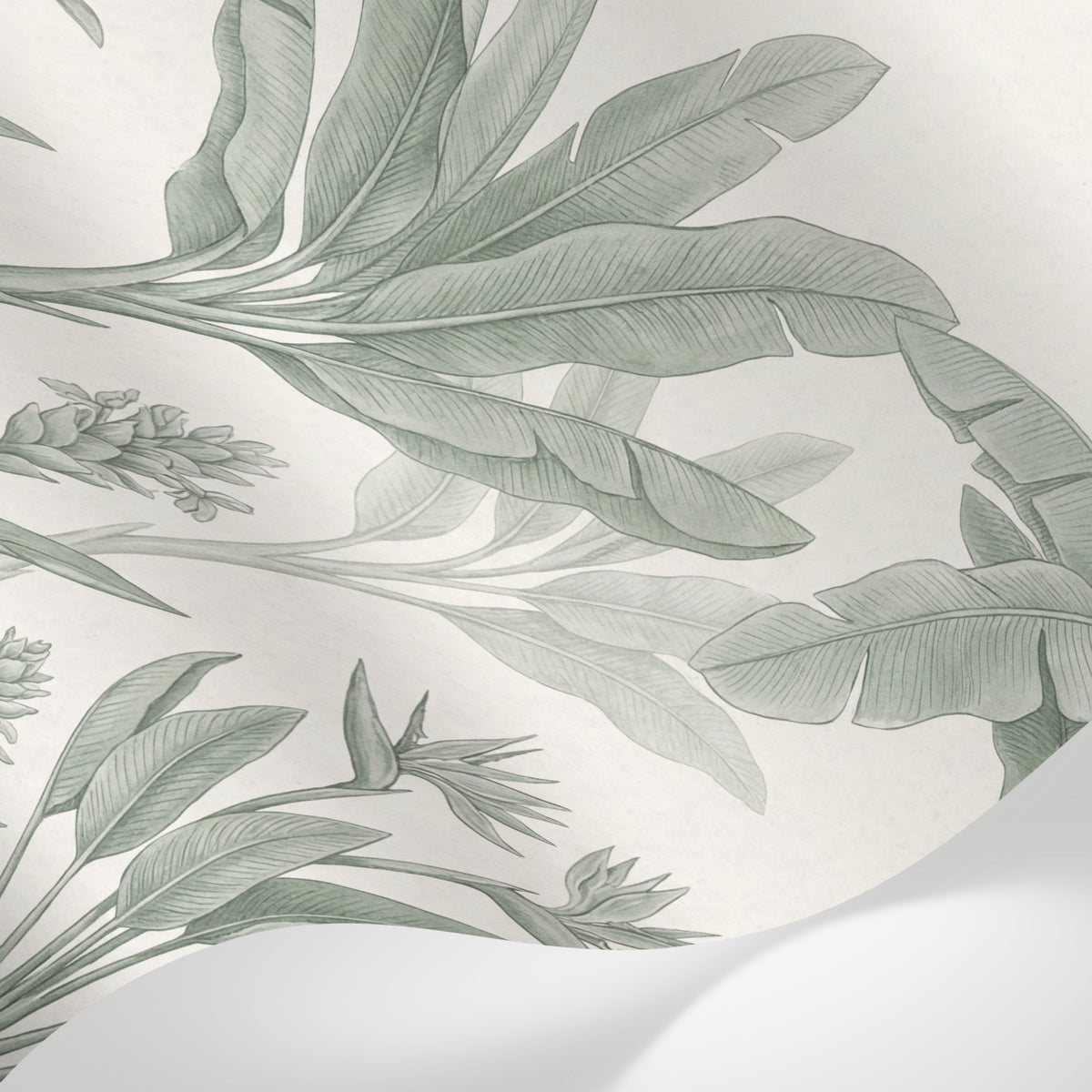 Papier peint panoramique feuille bananier - Frondes tropicales dessinées tons vert sauge sur fond beige crème sur mesure - Matière