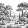 Collines Toscanes - Noir & Blanc