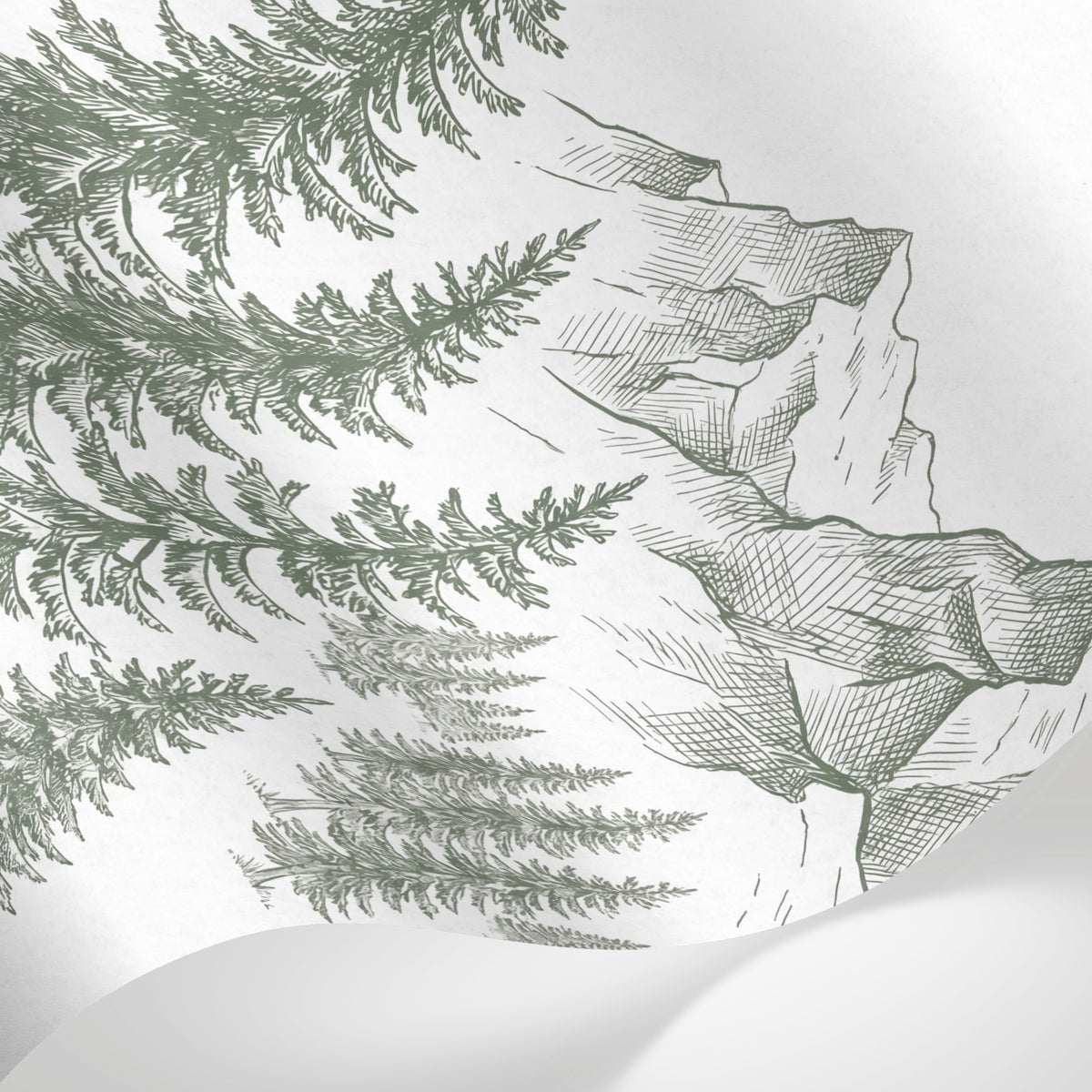 Papier peint panoramique forêt - Sapins enneigés montagnes dessin gravure tons vert sauge et blanc sur mesure - Matière